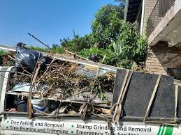 Best Recycling Services for Junk  in Pecos, TX