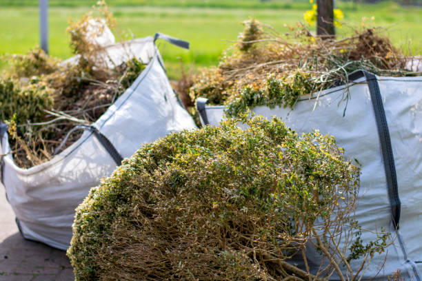 Trusted Pecos, TX Junk Removal Services Experts